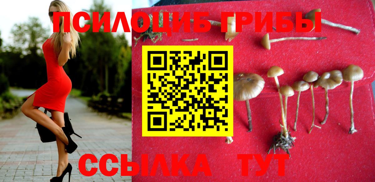 Галлюциногенные грибы мицелий  Псилоцибиновые грибы ЛСД  Вход с VPN  Похвистнево 
